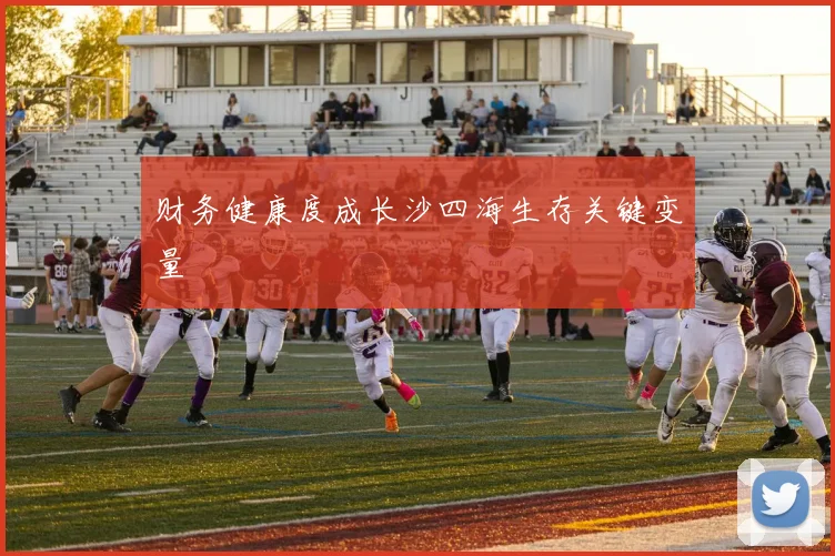 财务健康度成长沙四海生存关键变量