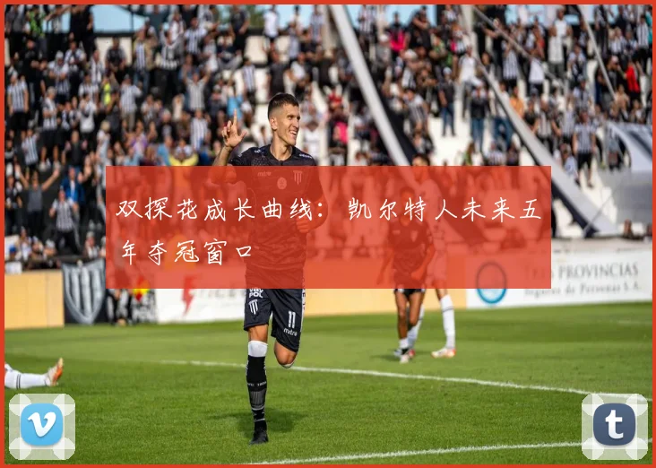 双探花成长曲线：凯尔特人未来五年夺冠窗口