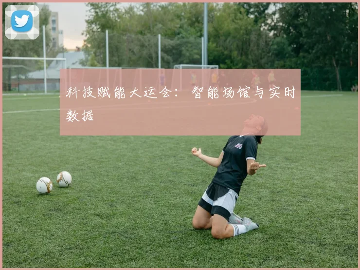 科技赋能大运会：智能场馆与实时数据