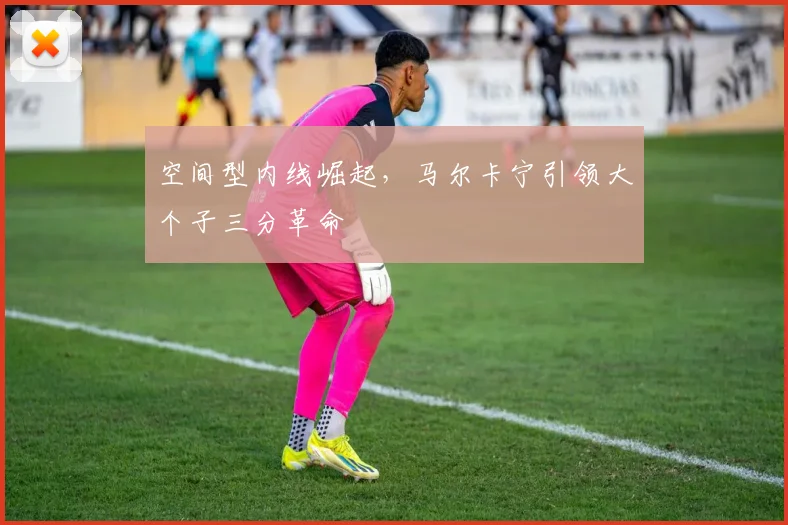 空间型内线崛起，马尔卡宁引领大个子三分革命